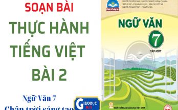 Soạn bài Thực hành Tiếng Việt Bài 2