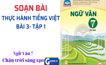 Soạn bài Thực hành Tiếng Việt bài 3 Ngữ văn 7