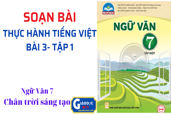 Soạn bài Thực hành Tiếng Việt bài 3 Ngữ văn 7