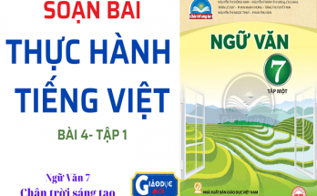 Soạn bài Thực hành Tiếng Việt bài 4 Ngữ văn 7