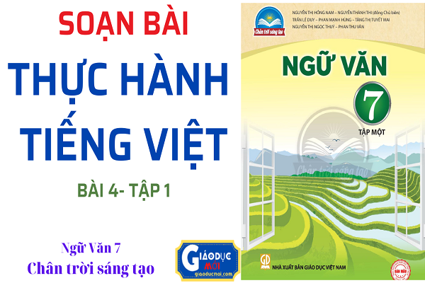 Soạn bài Thực hành Tiếng Việt bài 4 Ngữ văn 7