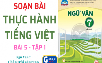 Soạn bài Thực hành Tiếng Việt bài 5 Ngữ văn 7