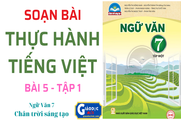 Soạn bài Thực hành Tiếng Việt bài 5 Ngữ văn 7